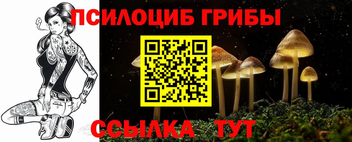 Псилоцибиновые грибы GOLDEN TEACHER  Вход с VPN  Красноярск 